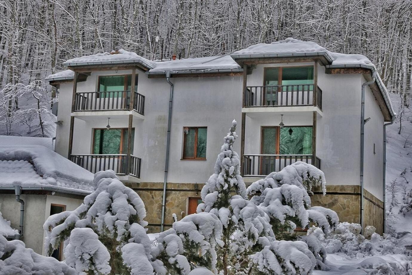 Рибарникъ Hotel Brŭshlyan Екстериор снимка
