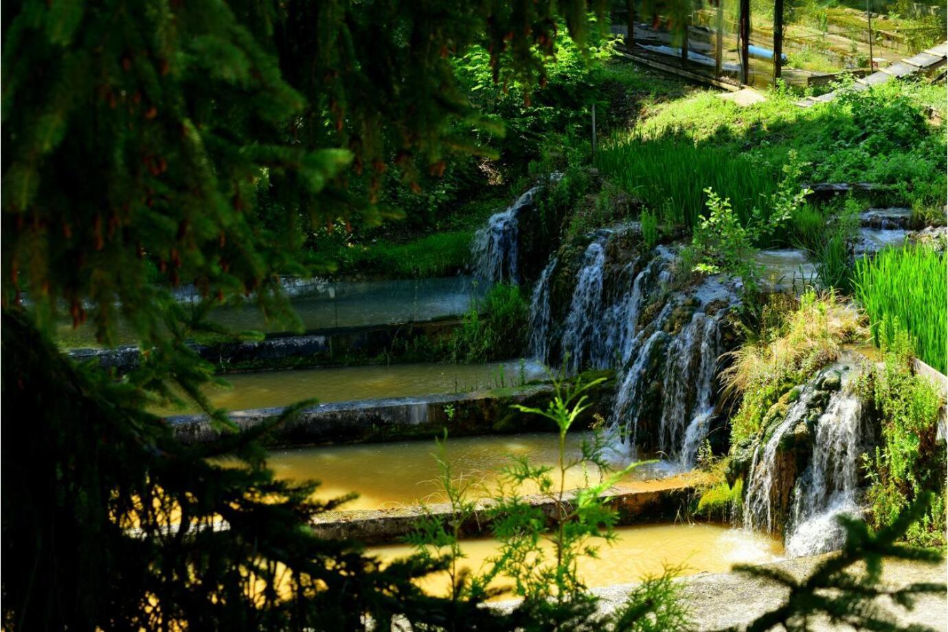 Рибарникъ Hotel Brŭshlyan Екстериор снимка